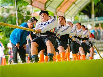 拔河-20260612
