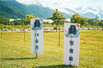 射箭-20260613