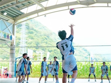 排球-20260619