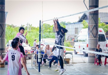 排球-20260620