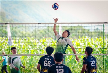 排球-20260620