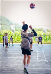 排球-20260620