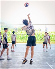 排球-20260620