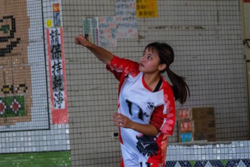 排球-20260621