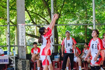 排球-20260621