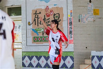 排球-20260621