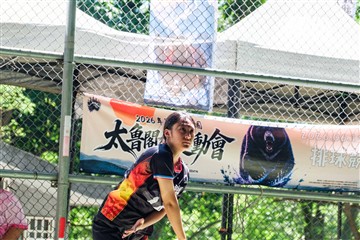 排球-20260621