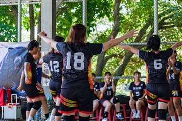 排球-20260621
