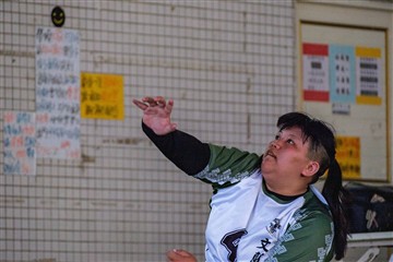 排球-20260621