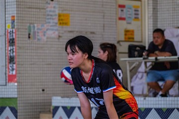 排球-20260621