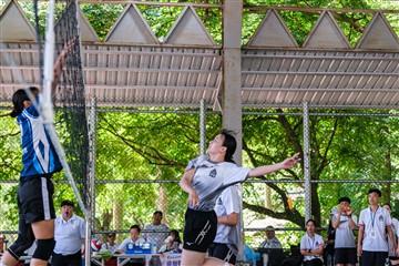 排球-20260621