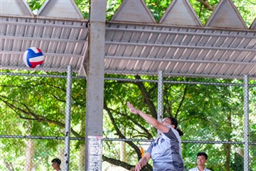 排球-20260621