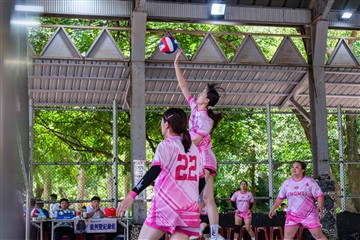 排球-20260621
