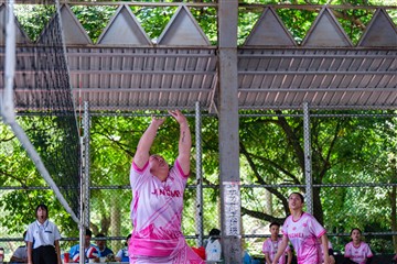 排球-20260621