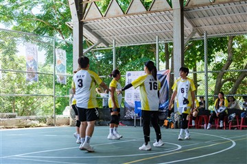 排球-20260621