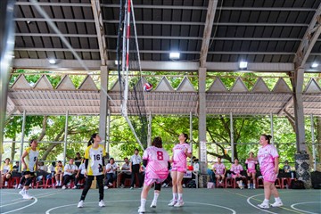 排球-20260621