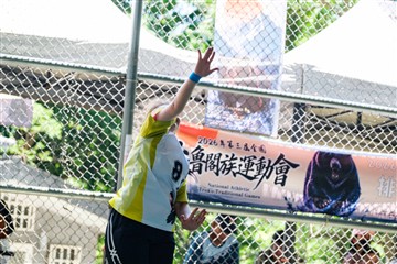 排球-20260621