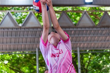 排球-20260621