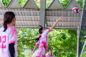 排球-20260621