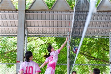 排球-20260621