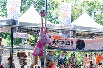 排球-20260621
