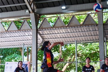 排球-20260621
