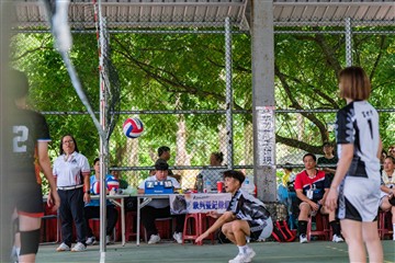 排球-20260621