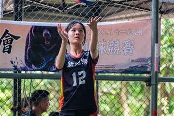 排球-20260621