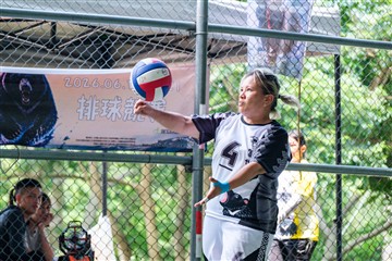 排球-20260621