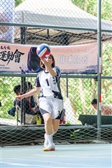 排球-20260621