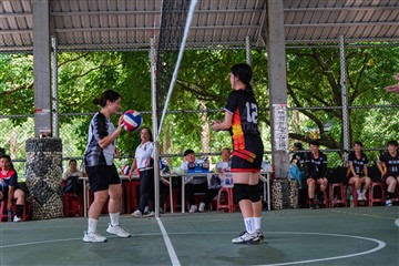 排球-20260621