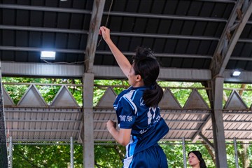 排球-20260621