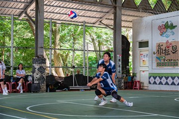 排球-20260621