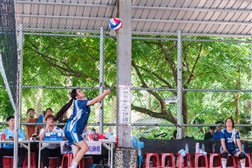 排球-20260621