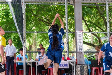 排球-20260621