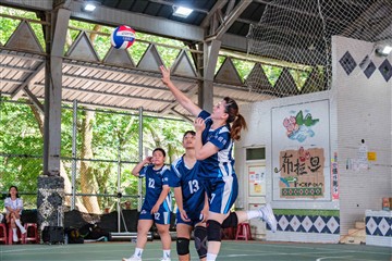 排球-20260621