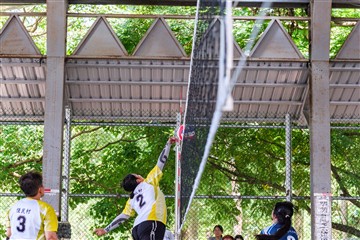 排球-20260621