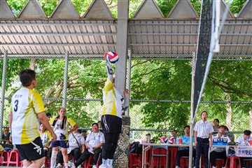 排球-20260621