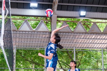 排球-20260621