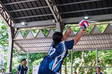 排球-20260621