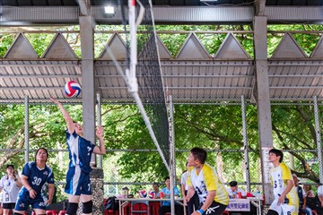 排球-20260621
