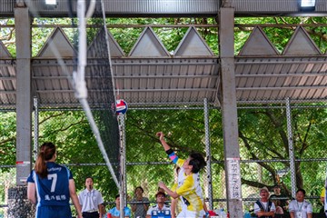 排球-20260621