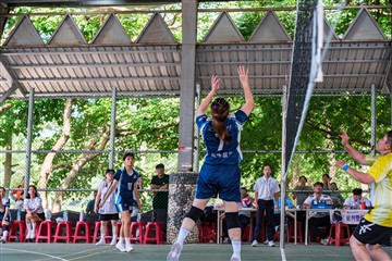 排球-20260621