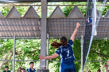 排球-20260621