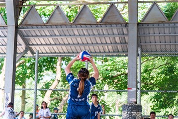排球-20260621