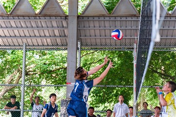 排球-20260621