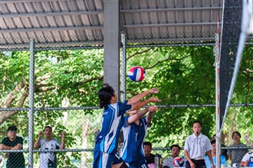 排球-20260621