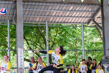 排球-20260621