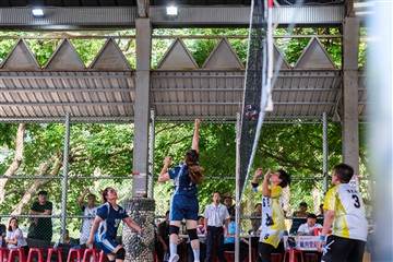 排球-20260621