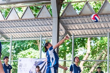 排球-20260621